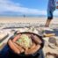 bbq, beach, perosnal injury